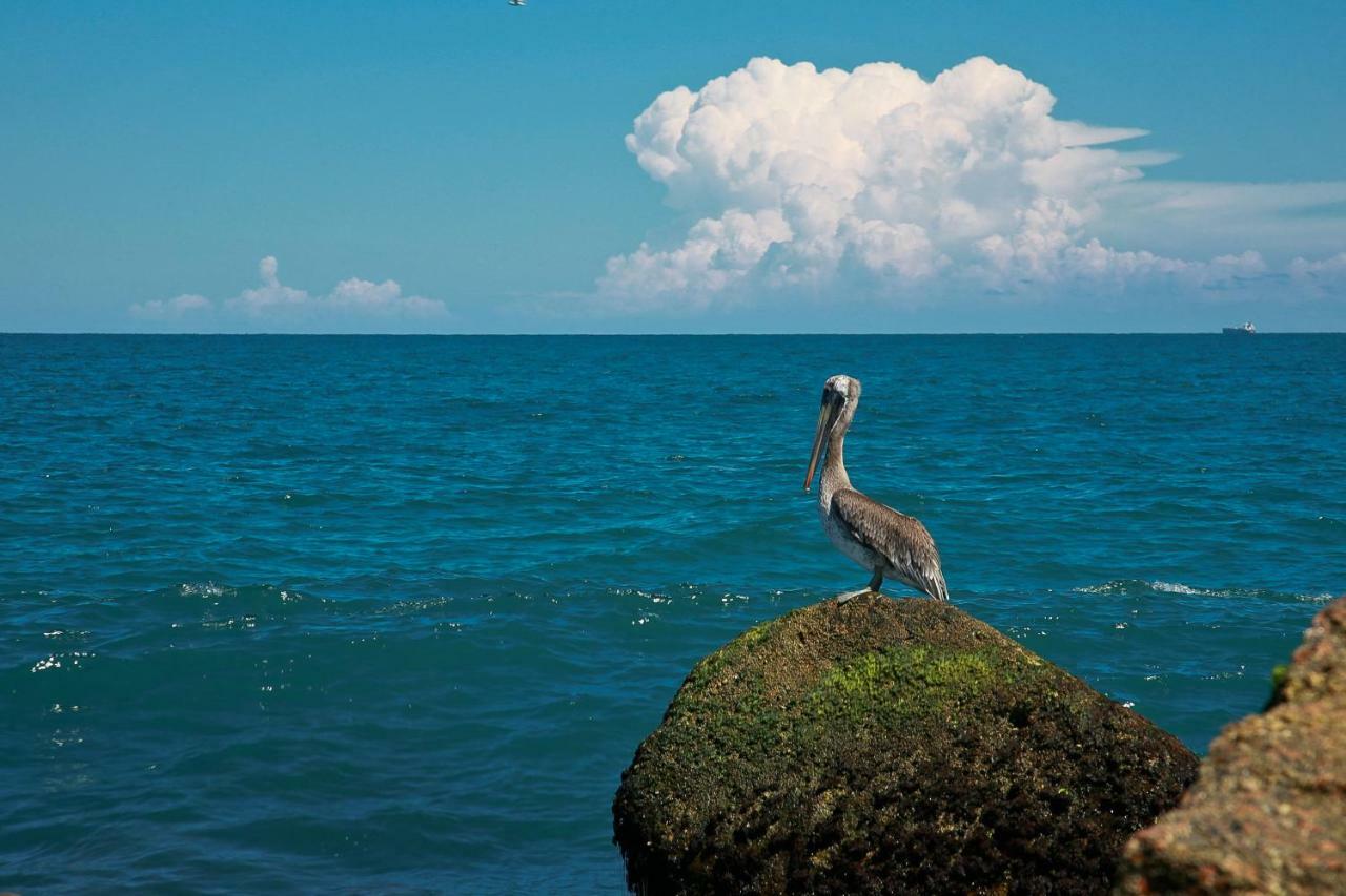 Island Serenity جنوب جزيرة بادري المظهر الخارجي الصورة